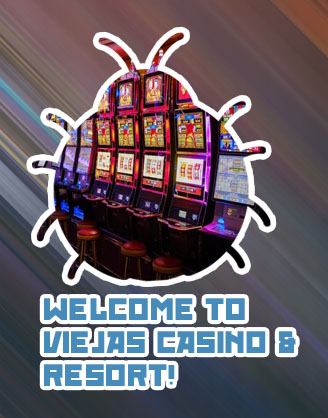 Best slot machines to play at viejas