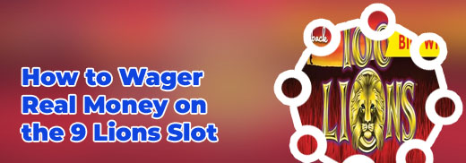 Lion slot machine