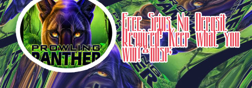 Slots free spins no deposit keep what you win